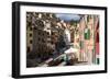 Manarola, Cinque Terre, UNESCO World Heritage Site, Liguria, Italy, Europe-Peter Groenendijk-Framed Photographic Print