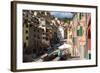 Manarola, Cinque Terre, UNESCO World Heritage Site, Liguria, Italy, Europe-Peter Groenendijk-Framed Photographic Print