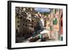 Manarola, Cinque Terre, UNESCO World Heritage Site, Liguria, Italy, Europe-Peter Groenendijk-Framed Photographic Print