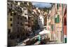 Manarola, Cinque Terre, UNESCO World Heritage Site, Liguria, Italy, Europe-Peter Groenendijk-Mounted Photographic Print