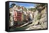 Manarola, Cinque Terre, UNESCO World Heritage Site, Liguria, Italy, Europe-Peter Groenendijk-Framed Stretched Canvas