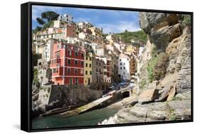 Manarola, Cinque Terre, UNESCO World Heritage Site, Liguria, Italy, Europe-Peter Groenendijk-Framed Stretched Canvas