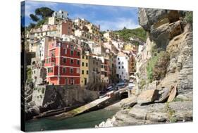 Manarola, Cinque Terre, UNESCO World Heritage Site, Liguria, Italy, Europe-Peter Groenendijk-Stretched Canvas