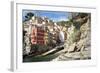 Manarola, Cinque Terre, UNESCO World Heritage Site, Liguria, Italy, Europe-Peter Groenendijk-Framed Photographic Print