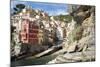 Manarola, Cinque Terre, UNESCO World Heritage Site, Liguria, Italy, Europe-Peter Groenendijk-Mounted Photographic Print