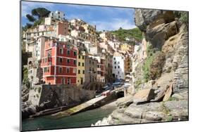 Manarola, Cinque Terre, UNESCO World Heritage Site, Liguria, Italy, Europe-Peter Groenendijk-Mounted Photographic Print