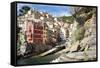 Manarola, Cinque Terre, UNESCO World Heritage Site, Liguria, Italy, Europe-Peter Groenendijk-Framed Stretched Canvas