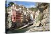 Manarola, Cinque Terre, UNESCO World Heritage Site, Liguria, Italy, Europe-Peter Groenendijk-Stretched Canvas