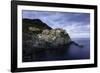 Manarola, Cinque Terre, UNESCO World Heritage Site, Liguria, Italy, Europe-Gavin Hellier-Framed Photographic Print