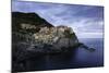 Manarola, Cinque Terre, UNESCO World Heritage Site, Liguria, Italy, Europe-Gavin Hellier-Mounted Photographic Print