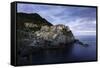 Manarola, Cinque Terre, UNESCO World Heritage Site, Liguria, Italy, Europe-Gavin Hellier-Framed Stretched Canvas