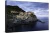 Manarola, Cinque Terre, UNESCO World Heritage Site, Liguria, Italy, Europe-Gavin Hellier-Stretched Canvas