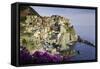 Manarola, Cinque Terre, UNESCO World Heritage Site, Liguria, Italy, Europe-Gavin Hellier-Framed Stretched Canvas