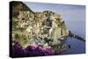 Manarola, Cinque Terre, UNESCO World Heritage Site, Liguria, Italy, Europe-Gavin Hellier-Stretched Canvas