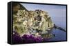 Manarola, Cinque Terre, UNESCO World Heritage Site, Liguria, Italy, Europe-Gavin Hellier-Framed Stretched Canvas