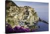 Manarola, Cinque Terre, UNESCO World Heritage Site, Liguria, Italy, Europe-Gavin Hellier-Stretched Canvas