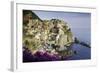 Manarola, Cinque Terre, UNESCO World Heritage Site, Liguria, Italy, Europe-Gavin Hellier-Framed Photographic Print