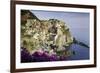 Manarola, Cinque Terre, UNESCO World Heritage Site, Liguria, Italy, Europe-Gavin Hellier-Framed Photographic Print