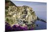 Manarola, Cinque Terre, UNESCO World Heritage Site, Liguria, Italy, Europe-Gavin Hellier-Mounted Photographic Print