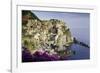 Manarola, Cinque Terre, UNESCO World Heritage Site, Liguria, Italy, Europe-Gavin Hellier-Framed Photographic Print