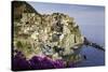 Manarola, Cinque Terre, UNESCO World Heritage Site, Liguria, Italy, Europe-Gavin Hellier-Stretched Canvas