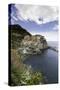 Manarola, Cinque Terre, UNESCO World Heritage Site, Liguria, Italy, Europe-Gavin Hellier-Stretched Canvas