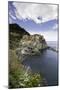 Manarola, Cinque Terre, UNESCO World Heritage Site, Liguria, Italy, Europe-Gavin Hellier-Mounted Photographic Print