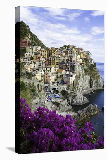 Manarola, Cinque Terre, UNESCO World Heritage Site, Liguria, Italy, Europe-Gavin Hellier-Stretched Canvas
