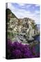 Manarola, Cinque Terre, UNESCO World Heritage Site, Liguria, Italy, Europe-Gavin Hellier-Stretched Canvas