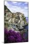 Manarola, Cinque Terre, UNESCO World Heritage Site, Liguria, Italy, Europe-Gavin Hellier-Mounted Photographic Print