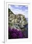 Manarola, Cinque Terre, UNESCO World Heritage Site, Liguria, Italy, Europe-Gavin Hellier-Framed Photographic Print