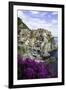 Manarola, Cinque Terre, UNESCO World Heritage Site, Liguria, Italy, Europe-Gavin Hellier-Framed Photographic Print