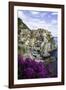 Manarola, Cinque Terre, UNESCO World Heritage Site, Liguria, Italy, Europe-Gavin Hellier-Framed Photographic Print