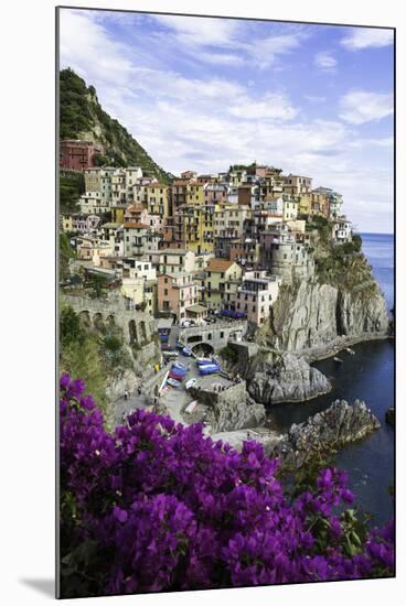 Manarola, Cinque Terre, UNESCO World Heritage Site, Liguria, Italy, Europe-Gavin Hellier-Mounted Photographic Print