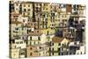 Manarola, Cinque Terre, UNESCO World Heritage Site, Liguria, Italy, Europe-Gavin Hellier-Stretched Canvas