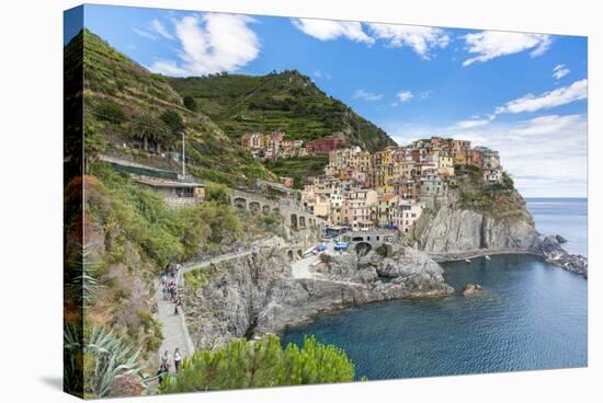 Manarola, Cinque Terre, UNESCO World Heritage Site, Liguria, Italy, Europe-Gavin Hellier-Stretched Canvas