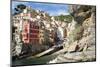 Manarola, Cinque Terre, UNESCO World Heritage Site, Liguria, Italy, Europe-Peter Groenendijk-Mounted Photographic Print