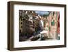 Manarola, Cinque Terre, UNESCO World Heritage Site, Liguria, Italy, Europe-Peter Groenendijk-Framed Photographic Print