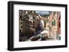 Manarola, Cinque Terre, UNESCO World Heritage Site, Liguria, Italy, Europe-Peter Groenendijk-Framed Photographic Print