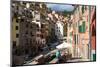 Manarola, Cinque Terre, UNESCO World Heritage Site, Liguria, Italy, Europe-Peter Groenendijk-Mounted Photographic Print