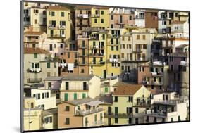 Manarola, Cinque Terre, UNESCO World Heritage Site, Liguria, Italy, Europe-Gavin Hellier-Mounted Photographic Print