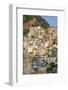 Manarola, Cinque Terre, UNESCO World Heritage Site, Liguria, Italy, Europe-Gavin Hellier-Framed Photographic Print