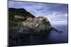 Manarola, Cinque Terre, UNESCO World Heritage Site, Liguria, Italy, Europe-Gavin Hellier-Mounted Photographic Print