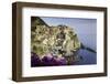 Manarola, Cinque Terre, UNESCO World Heritage Site, Liguria, Italy, Europe-Gavin Hellier-Framed Photographic Print