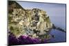 Manarola, Cinque Terre, UNESCO World Heritage Site, Liguria, Italy, Europe-Gavin Hellier-Mounted Photographic Print