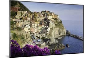 Manarola, Cinque Terre, UNESCO World Heritage Site, Liguria, Italy, Europe-Gavin Hellier-Mounted Photographic Print