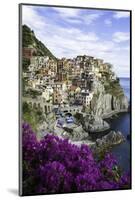 Manarola, Cinque Terre, UNESCO World Heritage Site, Liguria, Italy, Europe-Gavin Hellier-Mounted Photographic Print