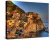 Manarola Cinque Terre-Richard Desmarais-Stretched Canvas