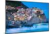 Manarola Fisherman Village in Cinque Terre, Italy-kasto-Mounted Photographic Print