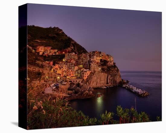 Manarola Harbour-Richard Desmarais-Stretched Canvas